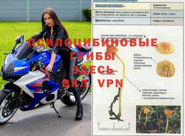 индика Алексеевка