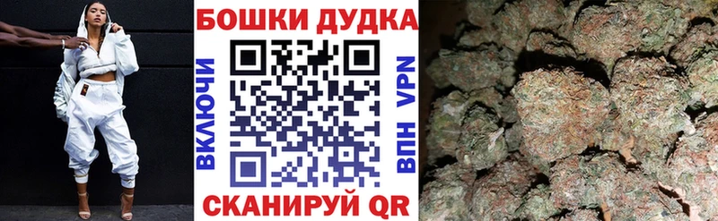 Канабис сатива  Венёв 